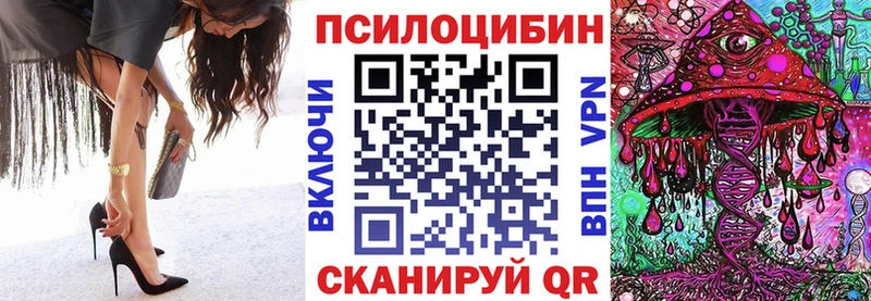 Галлюциногенные грибы мицелий  Купить где  Богородск 